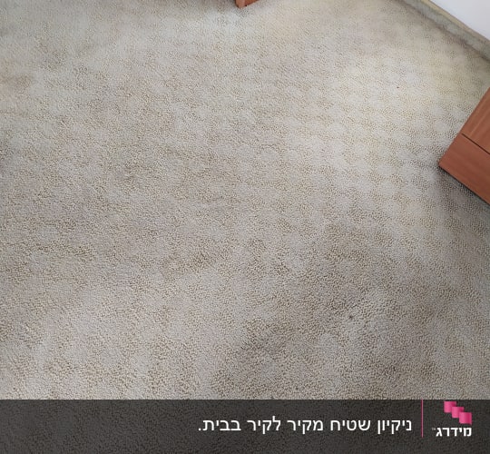 שטיח בהיר עם כתמים קלים ליד רהיט עץ